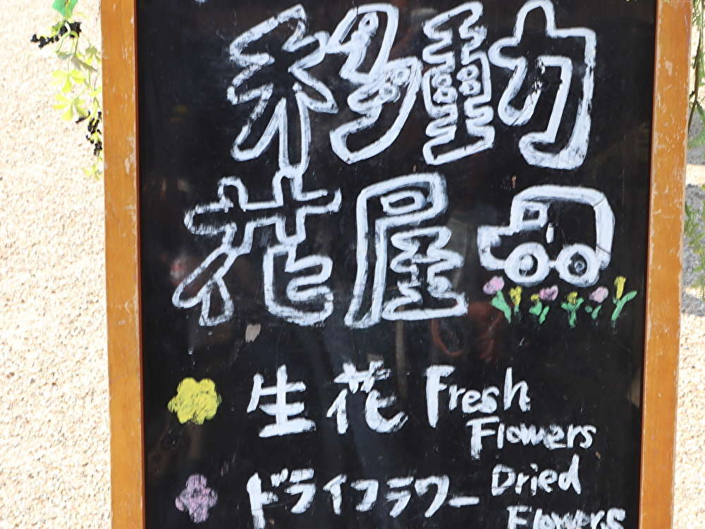 長く飾れるドライフラワーはいかがですか？