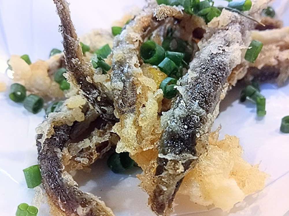小田急線最強の天ぷらは藤沢にあった！！