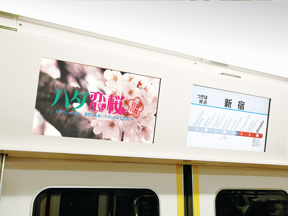 秦野「ハダ恋桜キャンペーン」
