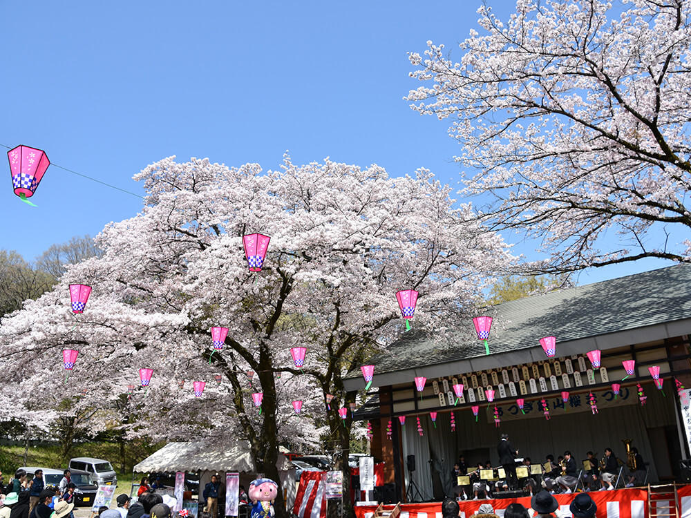 桜トンネルが圧巻！あつぎ飯山桜まつり