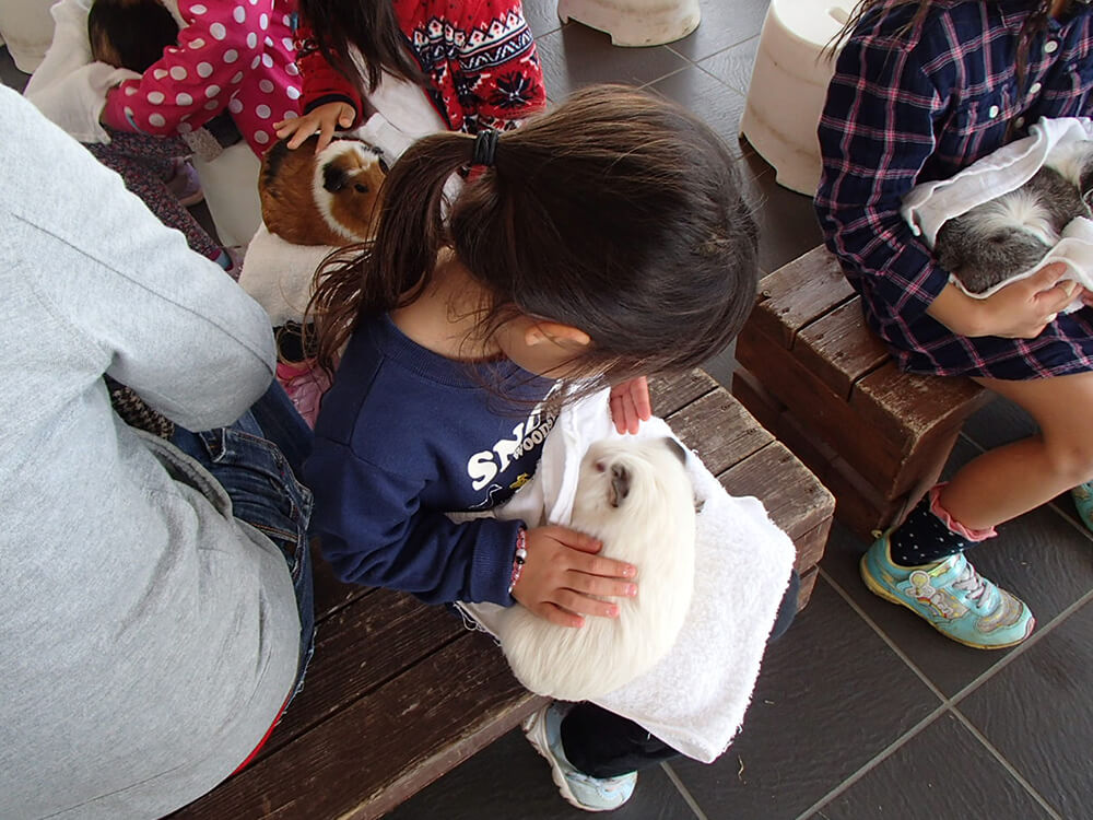 かわいい動物たちと触れあおう！